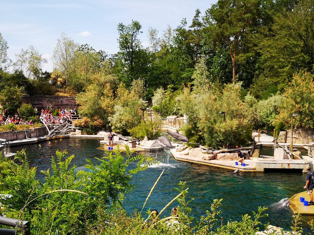 Tiergarten Zoo