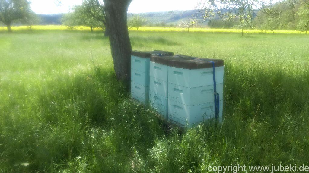 Bienen