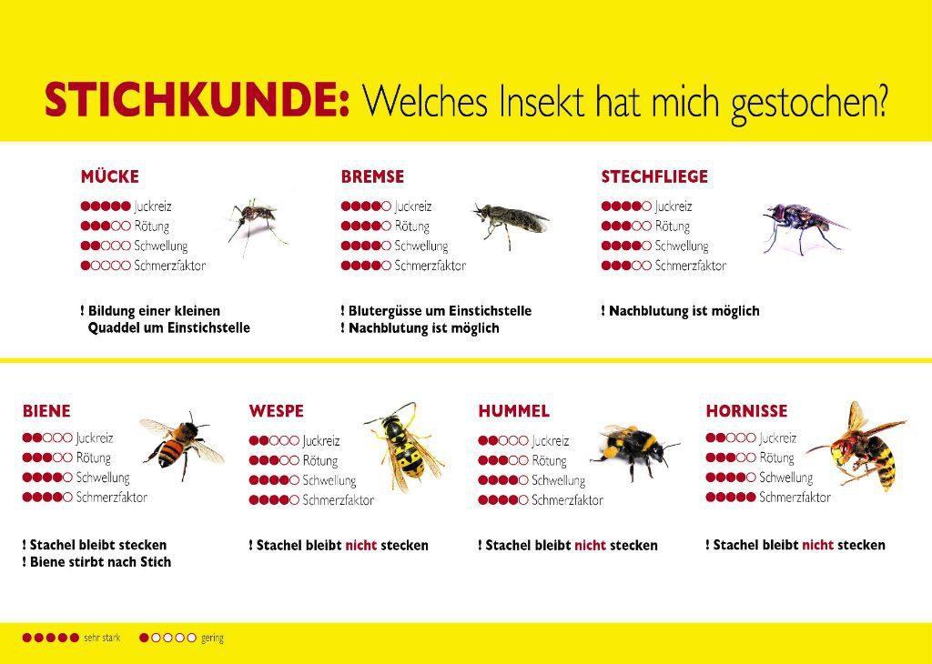 Wie Viel Insekten Isst Ein Mensch Im Schlaf Mückenzeit -Insektenzeit - Wenn es summt und sticht.