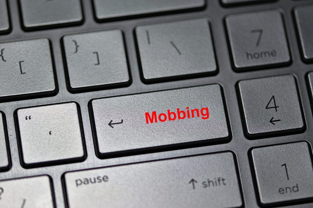 Cybermobbing